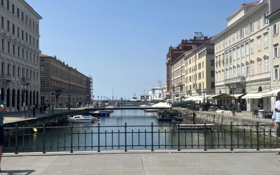 NAKUPOVALNI DAN TRST - Sobota, 16. maj 2026