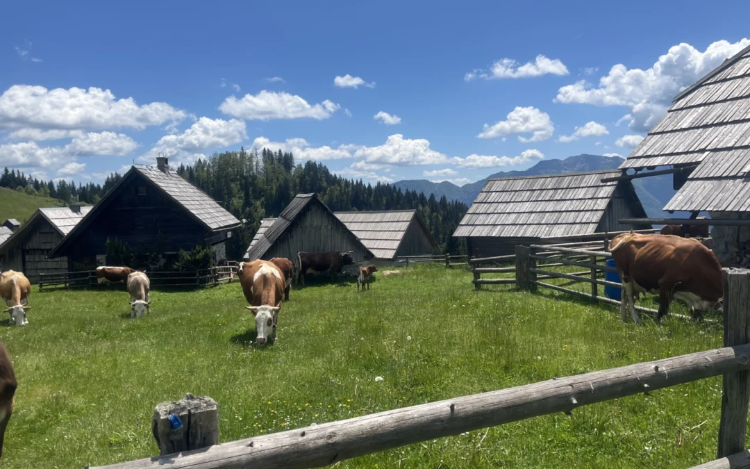 POHOD NA ZAJAMNIKE – Nedelja, 10. maj 2026