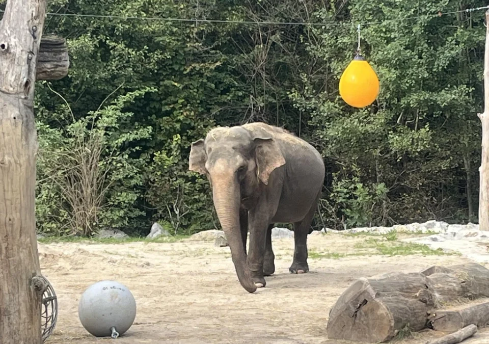 ZOO LJUBLJANA – družinski izlet  Nedelja, 28. junij 2026