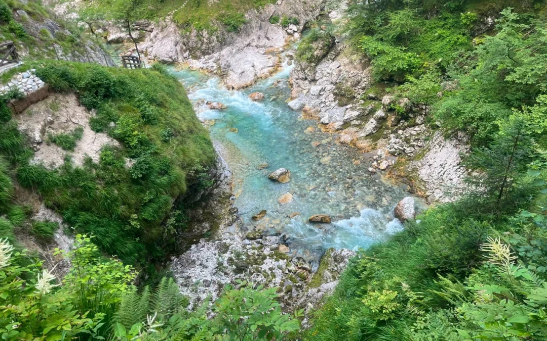 TOLMINSKA KORITA IN KOBARIŠKI MUZEJ Nedelja, 11. oktober 2026
